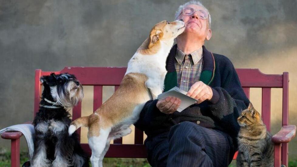 Animali toccasana per over 65 «Visite mediche ridotte del 15%»