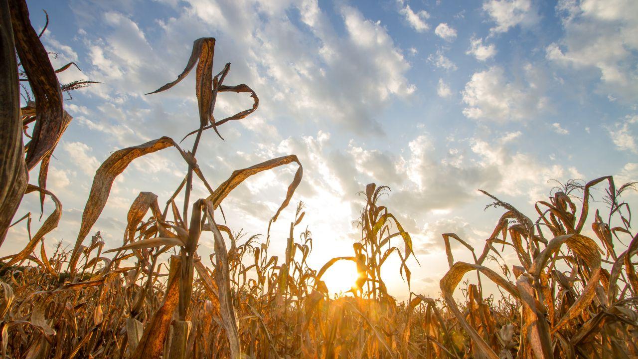Cosa sta succedendo al clima in Toscana: i dati del rapporto Lamma