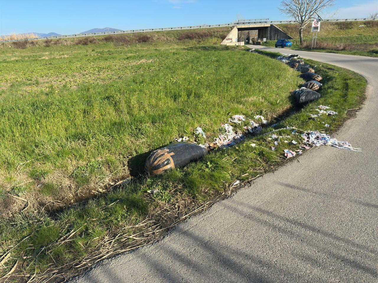 
	I sacchi neri in via Casale e Fatticci

