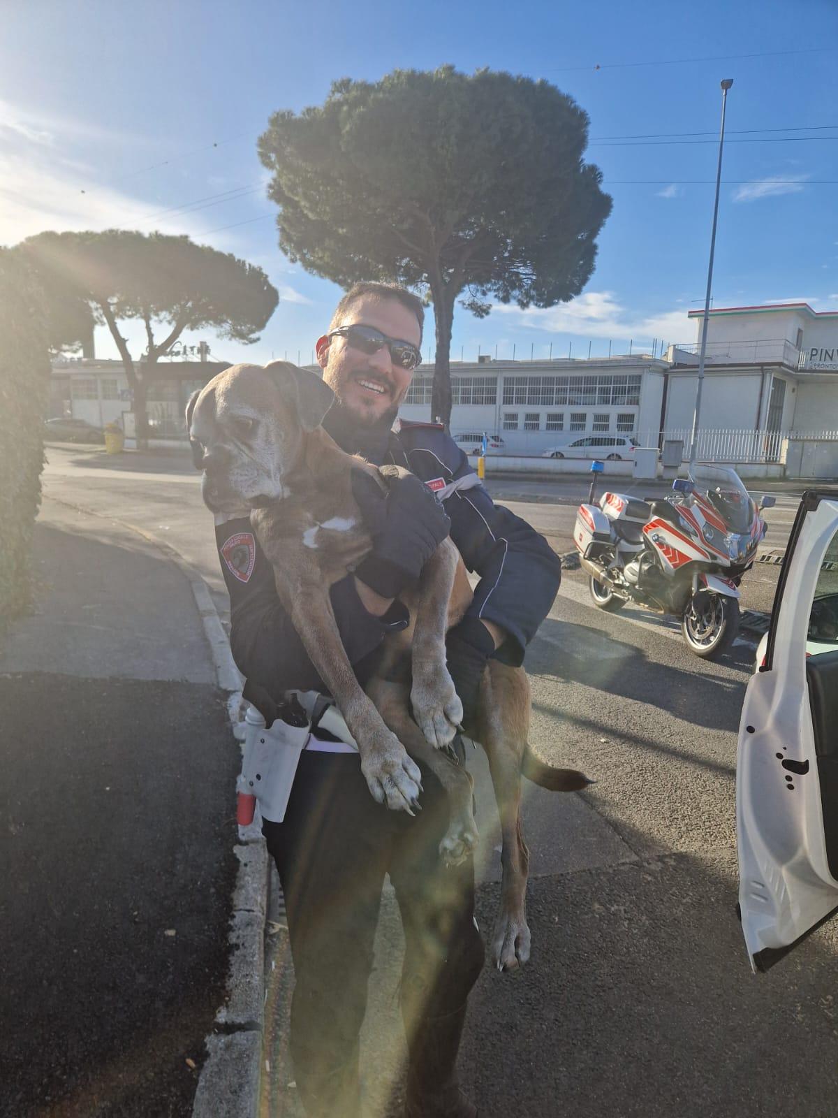 
	Un agente della polizia municipale col cane salvato


