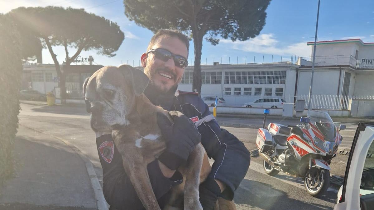 Un agente della polizia municipale col cane salvato