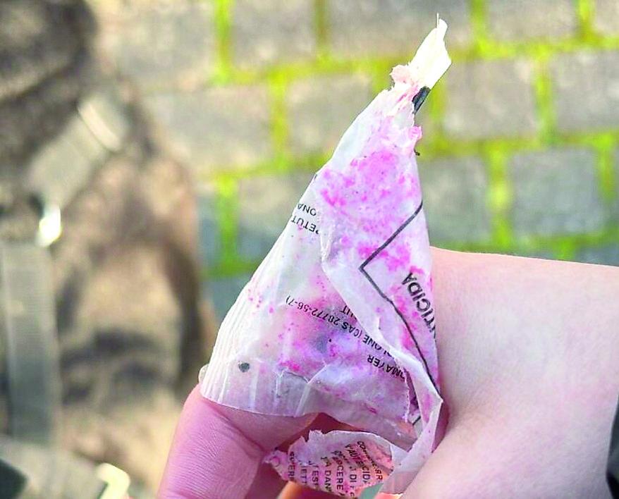 Esche velenose parchi di Pontegradella, animali in pericolo