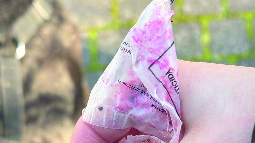 Esche velenose parchi di Pontegradella, animali in pericolo