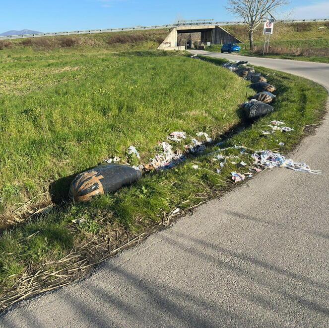 
	I&nbsp;sacchi gettati nei fossi in via Casale e Fatticci

