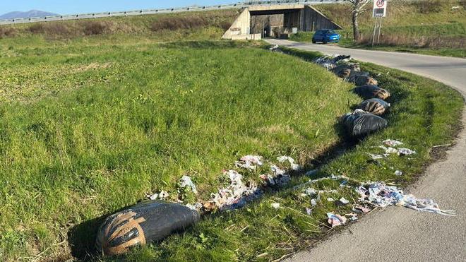 I sacchi gettati nei fossi in via Casale e Fatticci