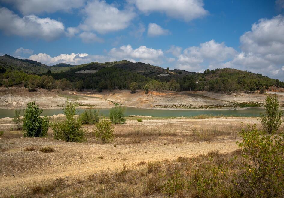 Siccità, l’isola a secco: 2mila aziende agricole rischiano il futuro