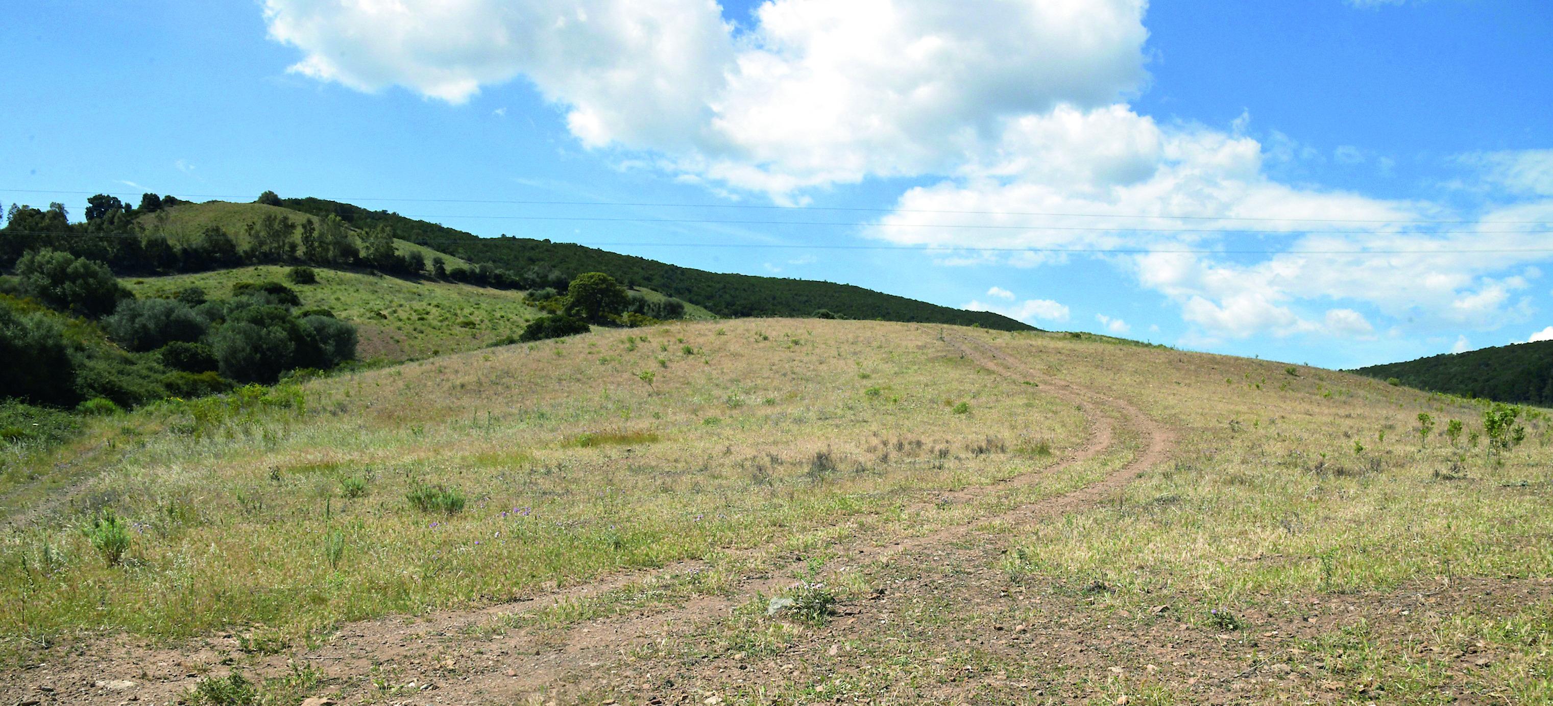 Legambiente: in Italia eventi meteo estremi, il 2024 è stato l’anno più caldo di sempre<br type="_moz" />
