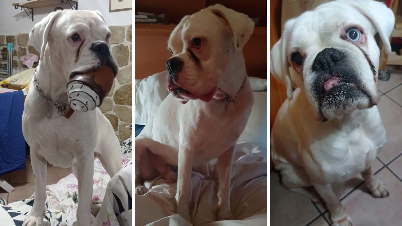 Da sx Neve che ha 3 anni, Aron (10 anni) e Amanda (11 anni)