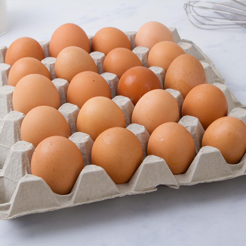 Al Foro Boario sequestrate 200 uova non tracciabili ed esposte sulle auto