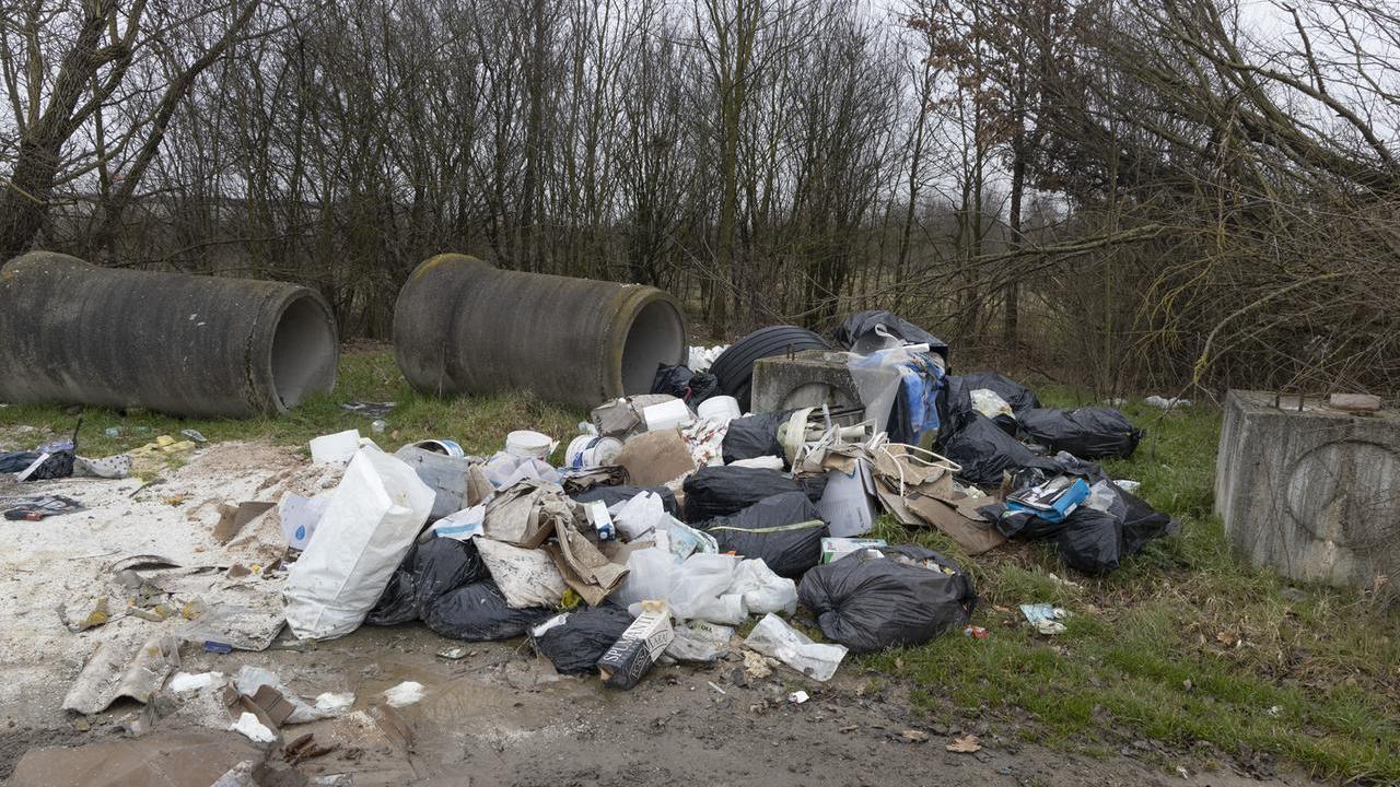 Nell'area sono stati gettati sacchi di ogni genere e dimensione