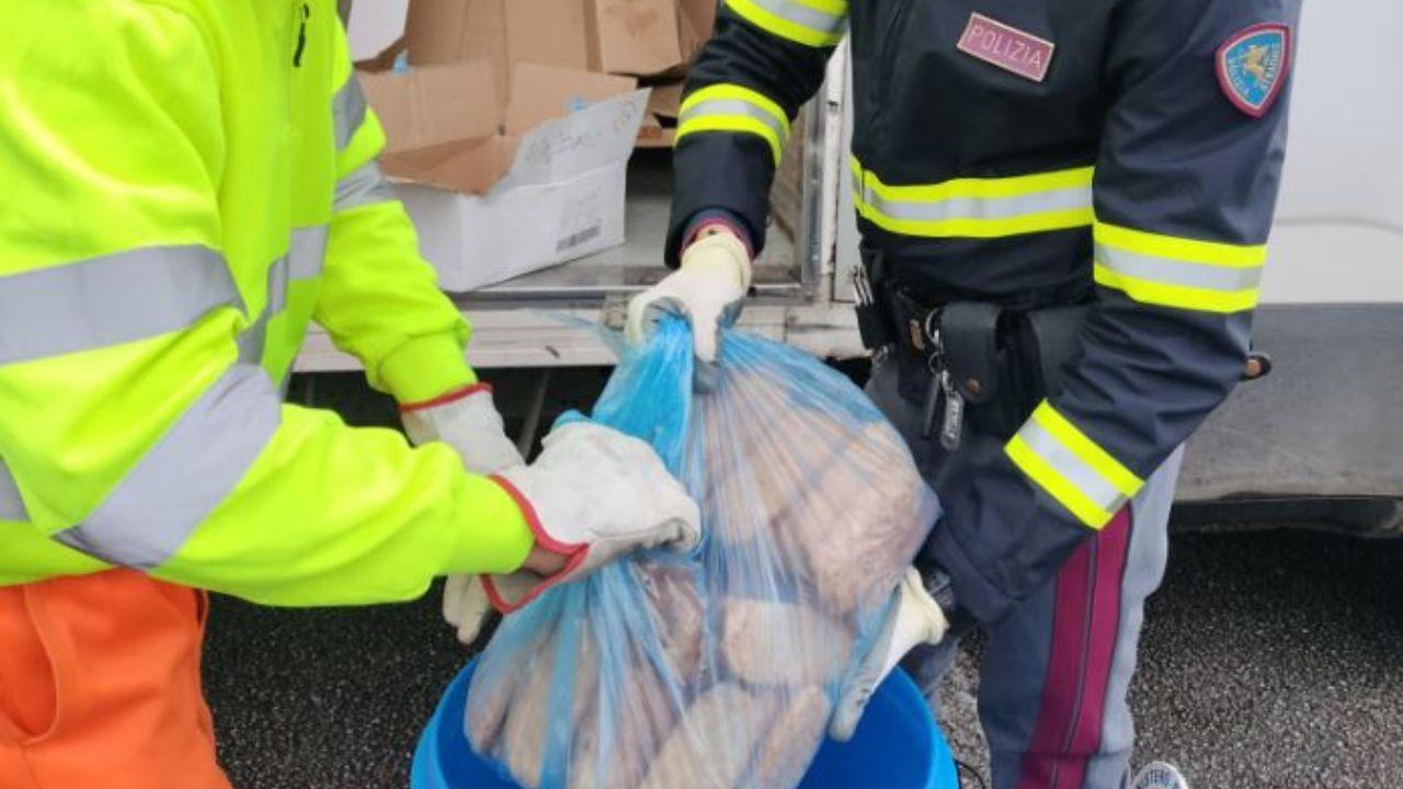 Una parte del cibo sequestrato