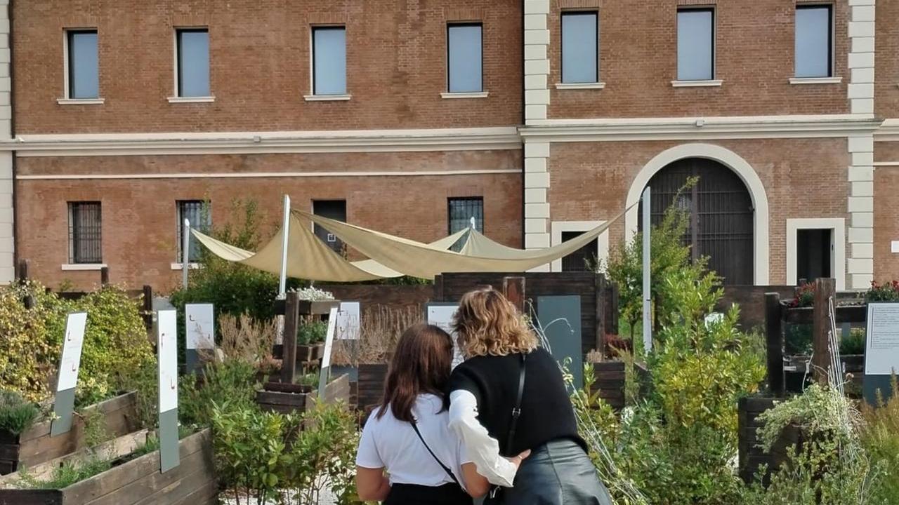 Ferrara, il Meis dona le piante del suo giardino: ecco come e quando