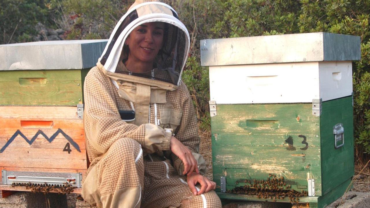 L'apicoltrice Elena Nieddu tra le arnie nella sua Azienda Ninfea Apicoltura