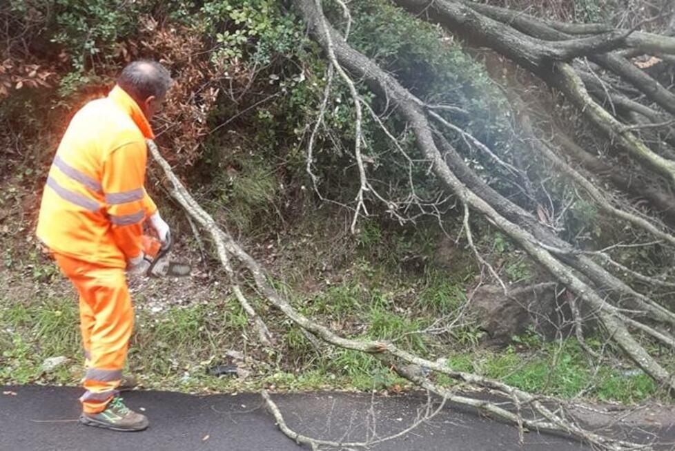 Maltempo all'Elba, crolli e fango sulle strade provinciali