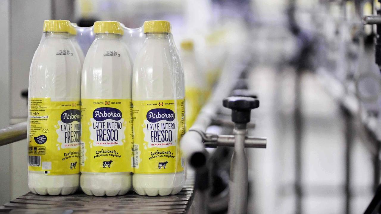 Cooperativa Latte Arborea: 30 milioni di investimenti