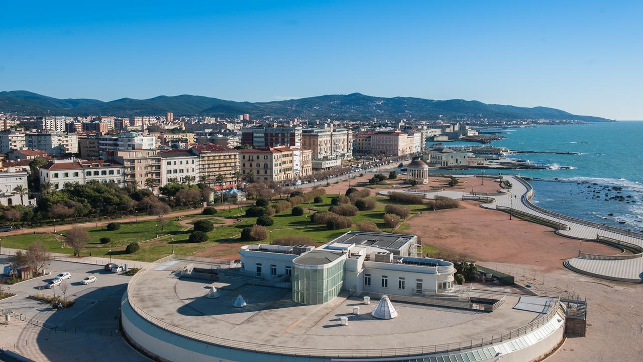 Tra polpi, tartarughe, squali pinna nera e attività: ecco l’ Acquario di Livorno a febbraio e marzo
