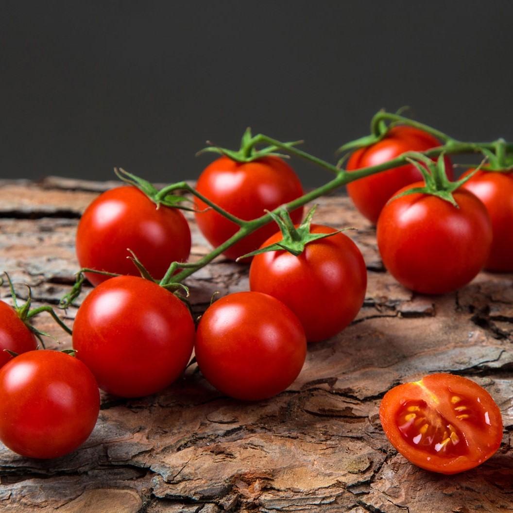 Prato, tre indagati per i malori di 246 alunni: era colpa del pomodoro ciliegino