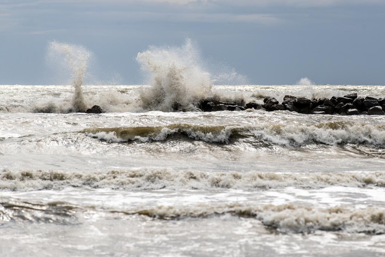 Allerta meteo, forte vento a Ferrara e provincia: albero caduto su una casa e mare mosso