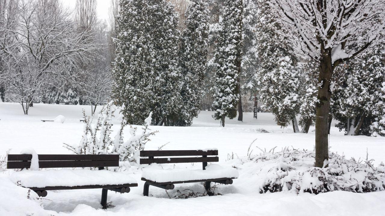 
	Allerta neve in Toscana

