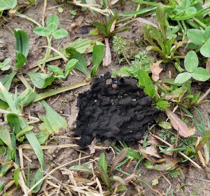 Incendio Inalca, trovati a terra frammenti di cemento-amianto: chiuso il parco della Resistenza e la ciclabile