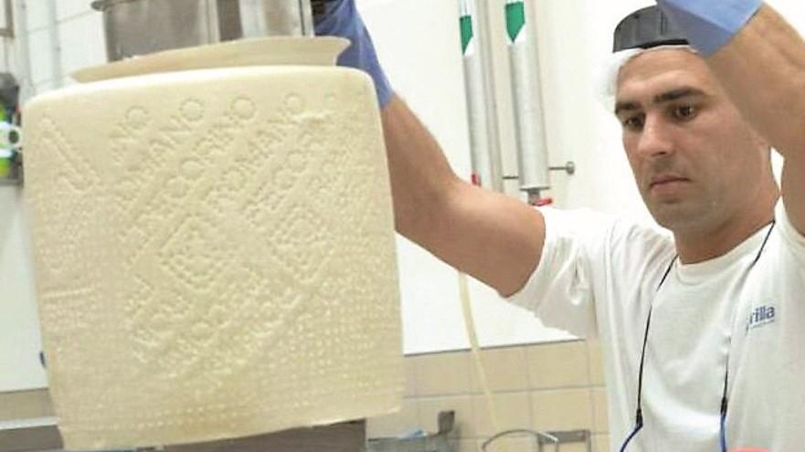 Dazi Usa, il Consorzio del pecorino romano: «Stati Uniti fondamentali, ma ci sono altri mercati»