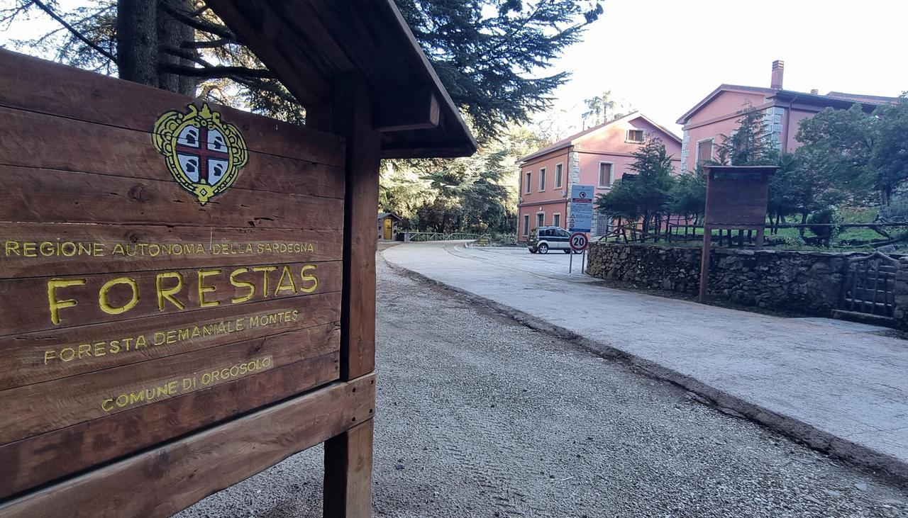 Minacce di morte contro la direttrice del cantiere Forestas