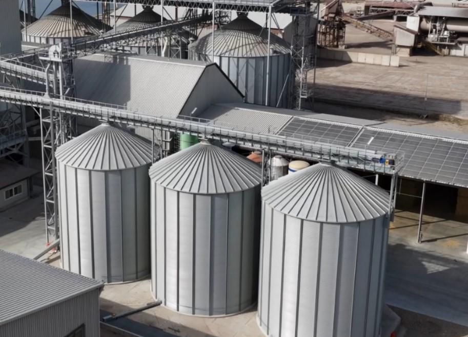 Carni ovine, produttori a confronto «Puntiamo su sinergia fra impresa e ricerca»