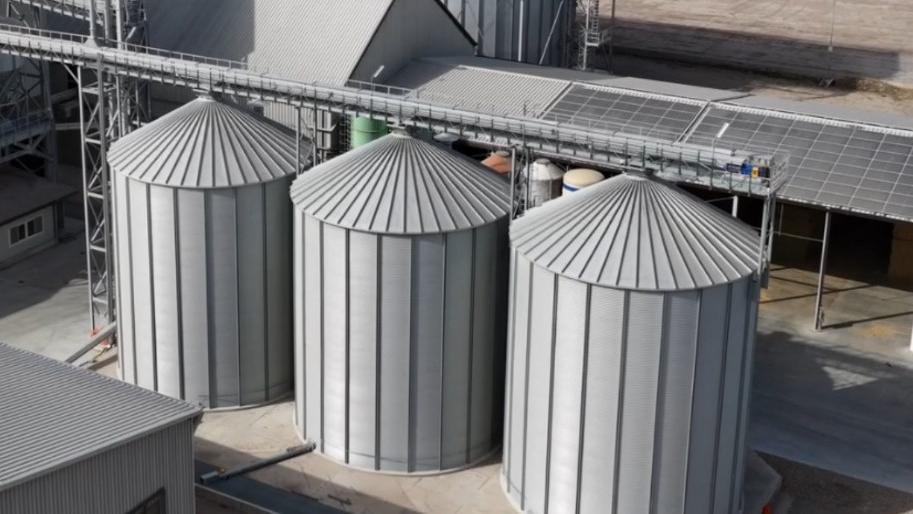 Carni ovine, produttori a confronto «Puntiamo su sinergia fra impresa e ricerca»