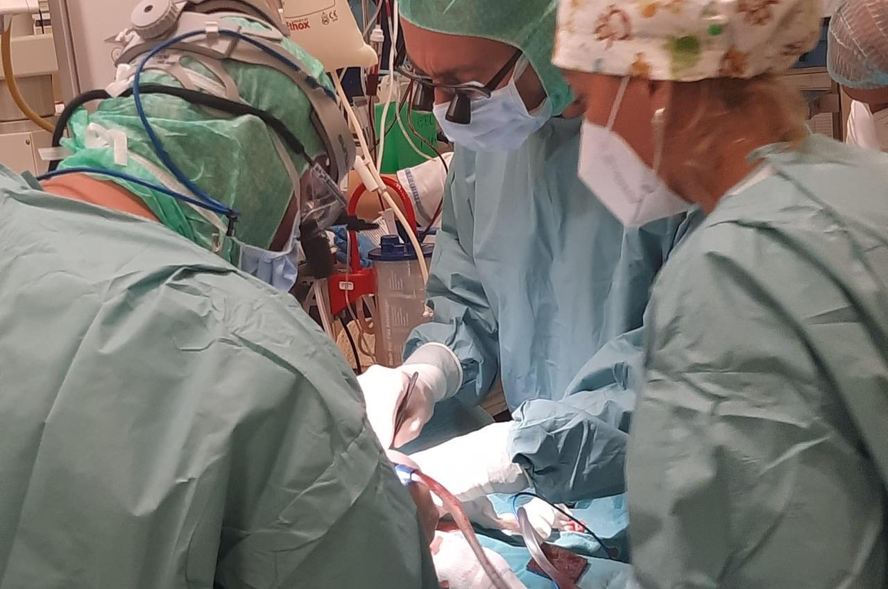 Il grande cuore della Gallura: aumentano le donazioni degli organi