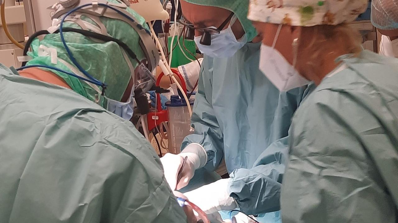 Il grande cuore della Gallura: aumentano le donazioni degli organi