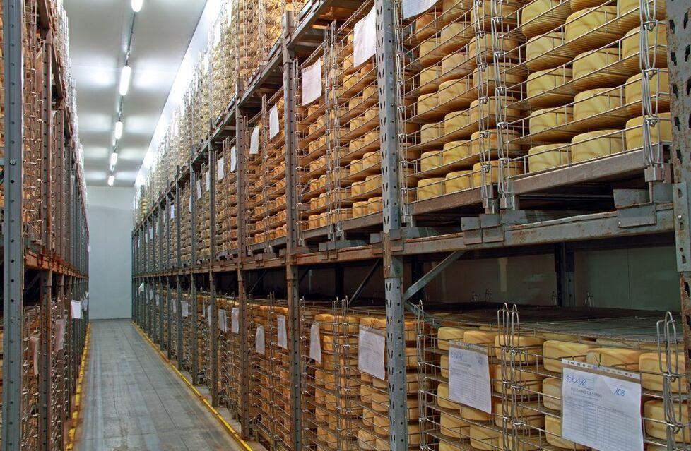 
	Il pecorino toscano &egrave; una delle eccellenze esportate negli Usa

