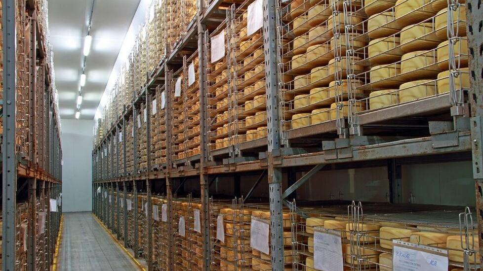 Il pecorino toscano è una delle eccellenze esportate negli Usa