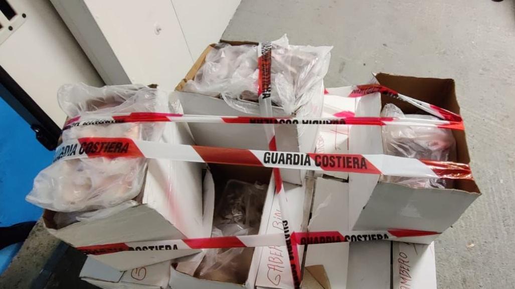 Maxi sequestro di gamberi: multato il comandante e merce sequestrata