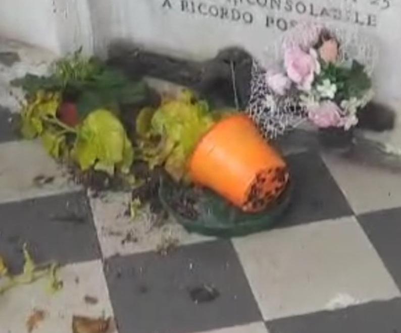 Berra, cimitero devastato dalle nutrie: cos’è successo