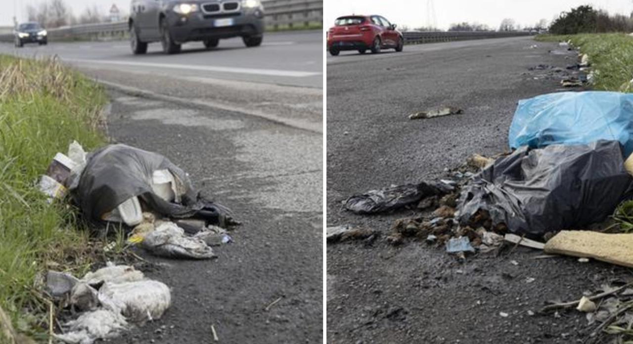 
	Rifiuti in una piazzola di sosta della tangenziale


