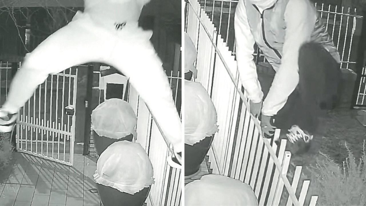 Alcuni frame delle telecamere