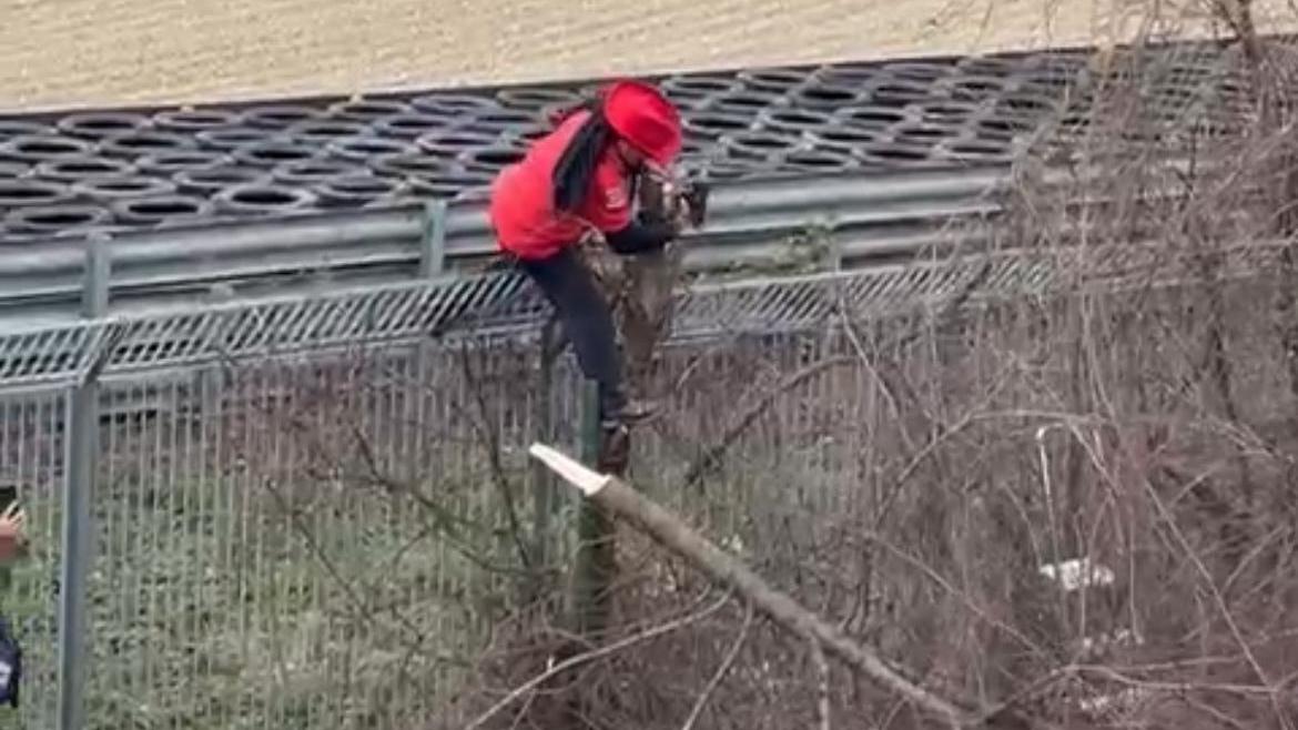 Il tifoso "giardiniere" all'opera