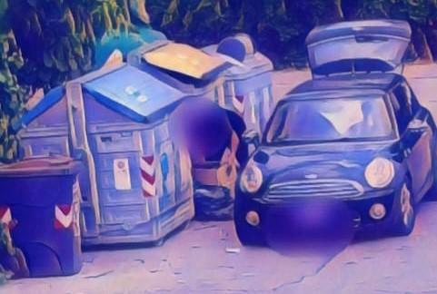 
	Un cittadino immortalato dalla fototrappola

