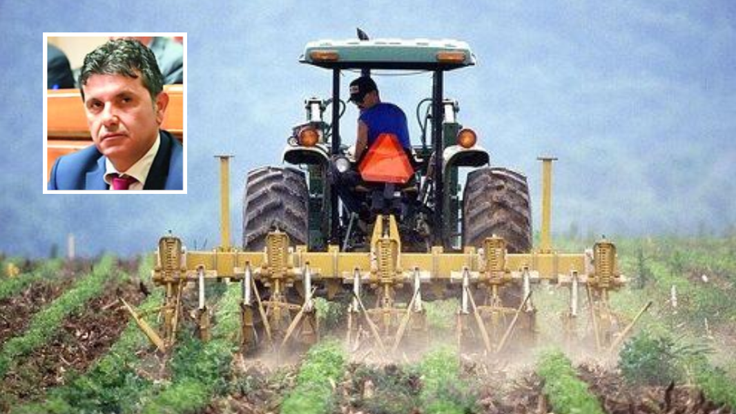 Imprese agricole, sbloccati pagamenti per 45 milioni di euro: come verranno distribuiti e chi sono i beneficiari