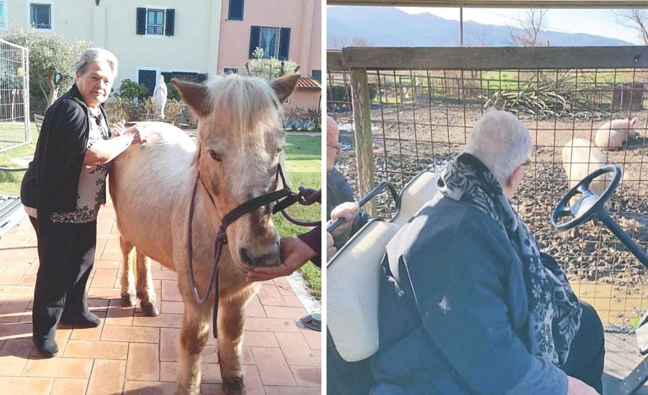 Nella campagna toscana la casa di riposo che cura con la pet therapy: asini, alpaca e cavalli per gli anziani