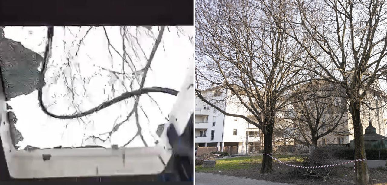 
	Il momento in cui il vetro si frantuma e l'albero

