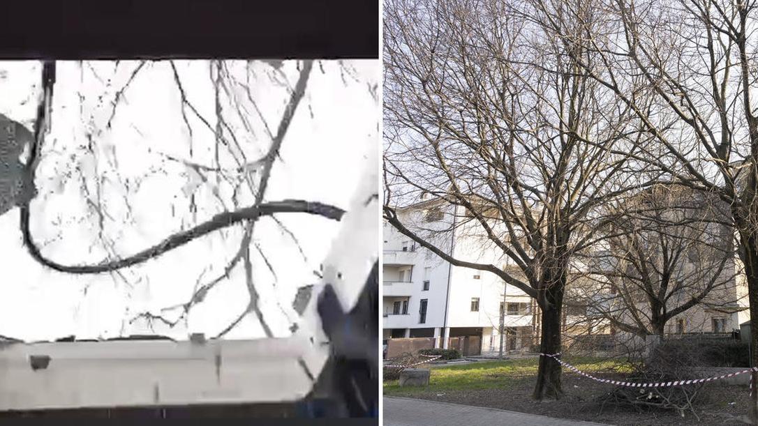 Il momento in cui il vetro si frantuma e l'albero