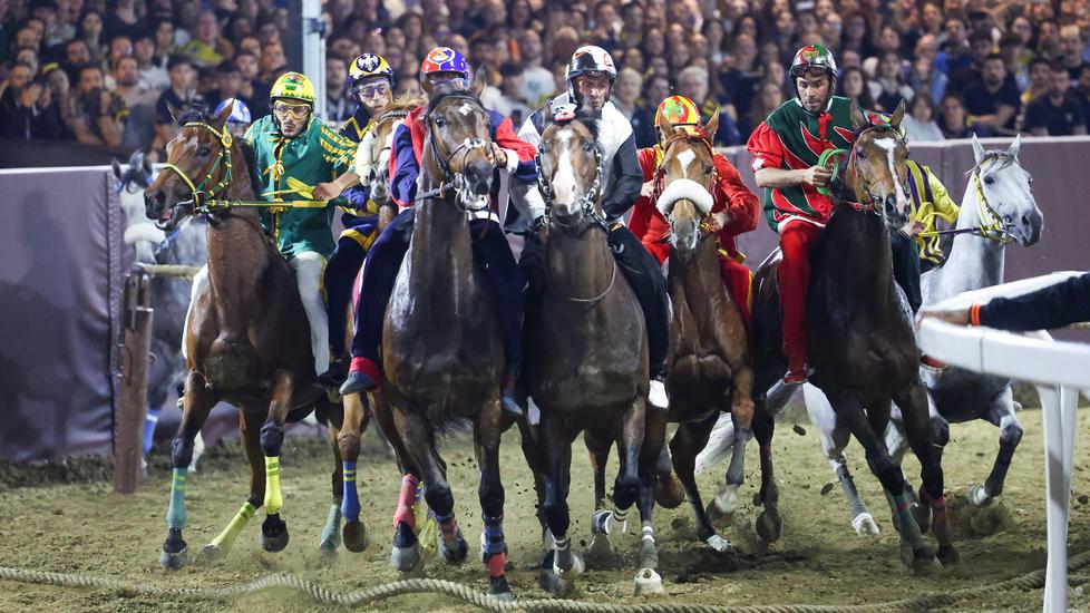 Ferrara, il Palio finisce in appalto per oltre un milione di euro<br type="_moz" />