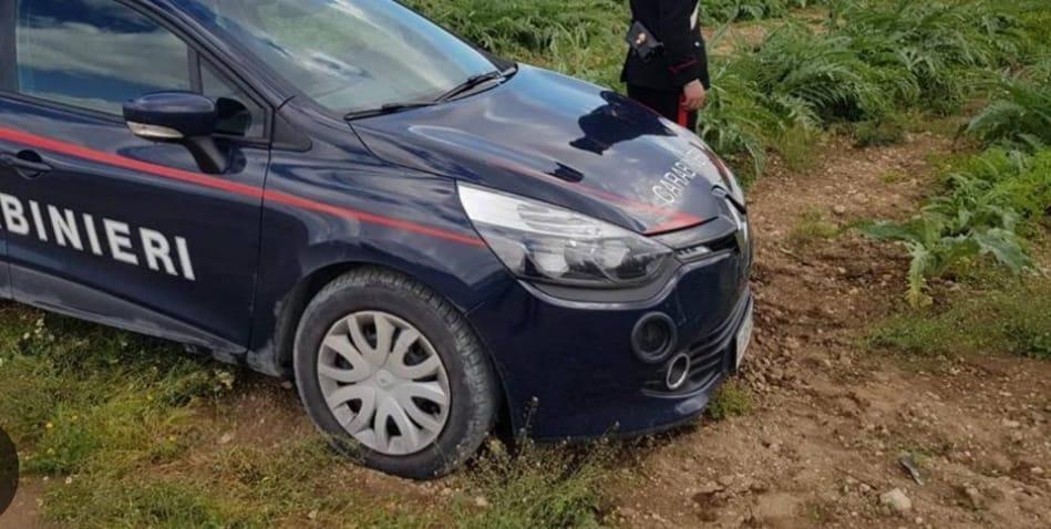 Sorpreso a rubare carciofi in un terreno, estrae coltello di 19 centimetri: denunciato