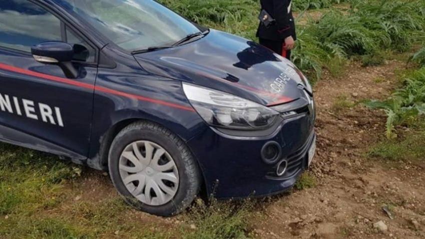 Sorpreso a rubare carciofi in un terreno, estrae coltello di 19 centimetri: denunciato