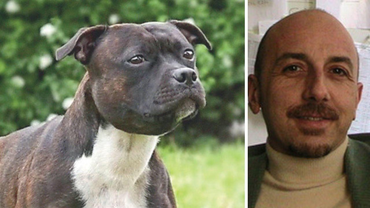 Un esemplare di Staffordshire bull terrier e il professor Gazzano
