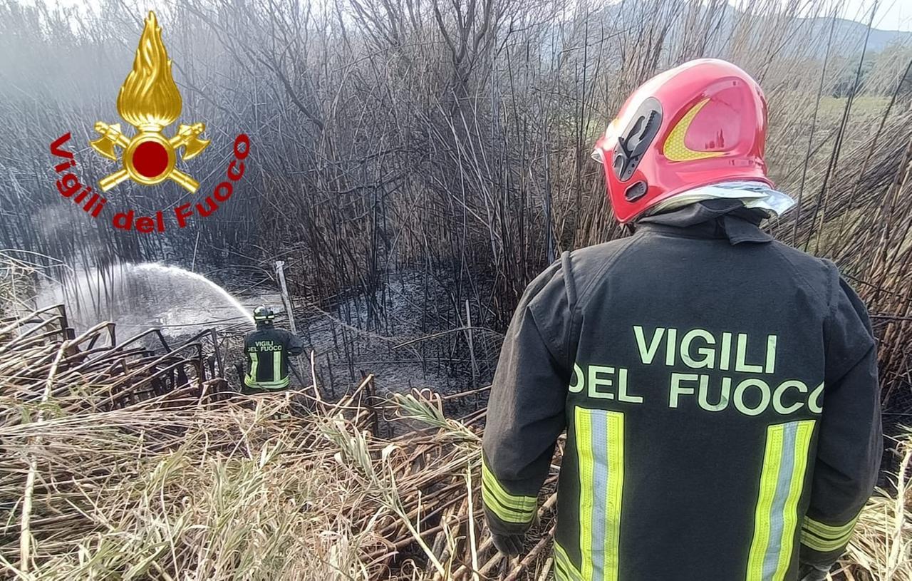Fiamme in un canneto: intervengono i vigili del fuoco