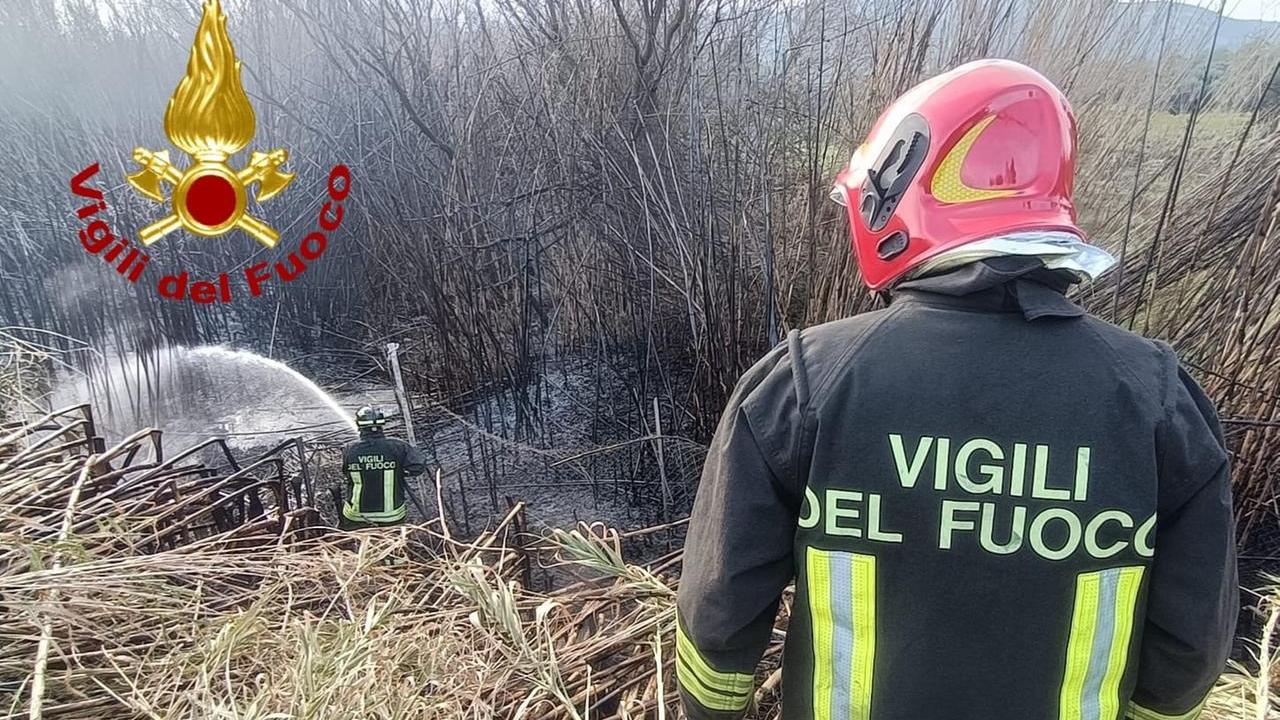 Fiamme in un canneto: intervengono i vigili del fuoco