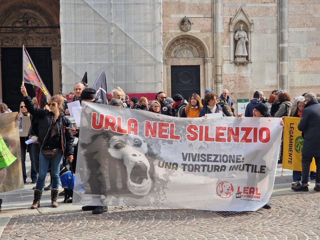 “Macachi liberi”, un’altra protesta a Ferrara con associazioni da tutta Italia