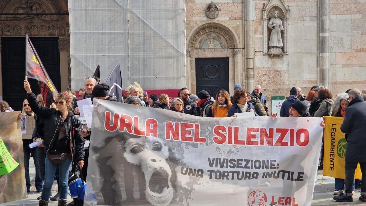 “Macachi liberi”, un’altra protesta a Ferrara con associazioni da tutta Italia